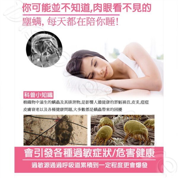 【日本漁生堂】塵蹣誘捕貼｜防蹣貼片5片盒裝：圖片 9