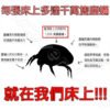 【日本漁生堂】塵蹣誘捕貼｜防蹣貼片5片盒裝：圖片 7