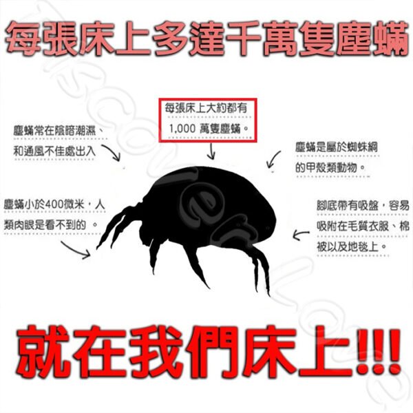 【日本漁生堂】塵蹣誘捕貼｜防蹣貼片5片盒裝：圖片 7