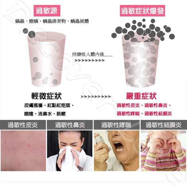 【日本漁生堂】塵蹣誘捕貼｜防蹣貼片5片盒裝：圖片 10