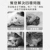 魔術手風琴貓抓板：圖片 4