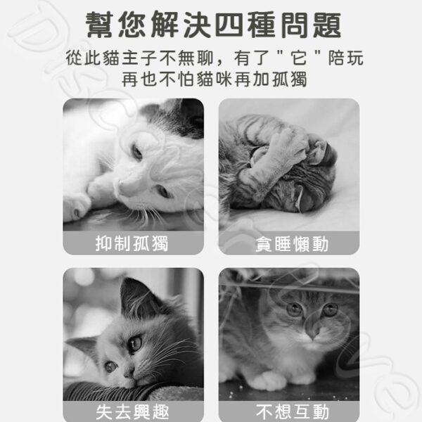 魔術手風琴貓抓板：圖片 4