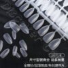【磨砂無痕甲片】 透明款/磨砂款/半磨砂款 超亮 透明 磨砂 美甲甲片 指甲貼片 穿戴甲片 甲片設計 色卡甲片 美甲片：圖片 2