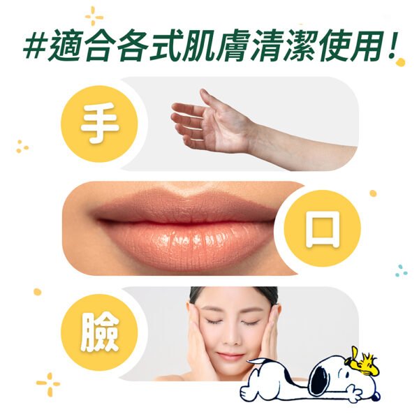 台灣製造 純水濕巾 箱購/12入 奈森克林濕紙巾 芊柔濕紙巾 濕紙巾 台製濕紙巾 濕巾 純水濕紙巾：圖片 6