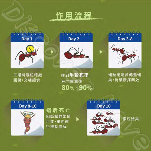 【德國 巴斯夫】蟻粒絕 170g 紅火蟻 一般螞蟻 滅蟻 螞蟻藥 除蟻 螞蟻 螞蟻剋星：圖片 4